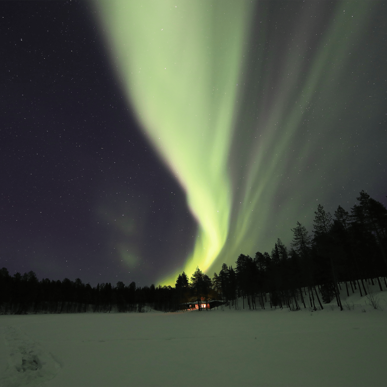 aurora boreale in lapponia