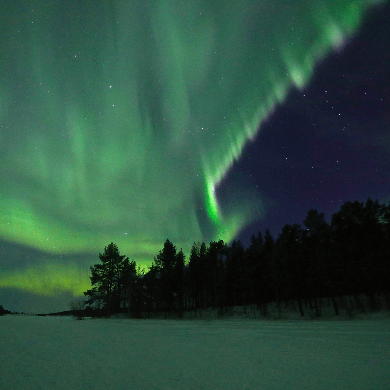 Aurora boreale in Lapponia