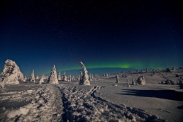 aurora boreale con luna piena