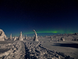 aurora boreale con luna piena