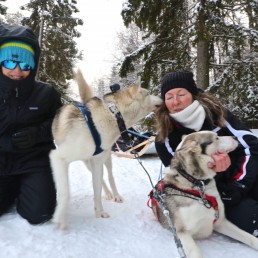 sledog lapponia