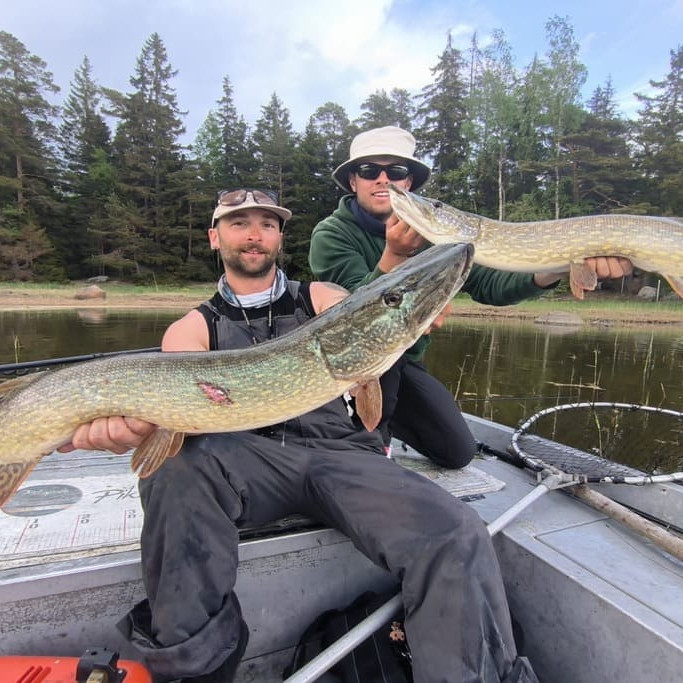 Baltic Pikes