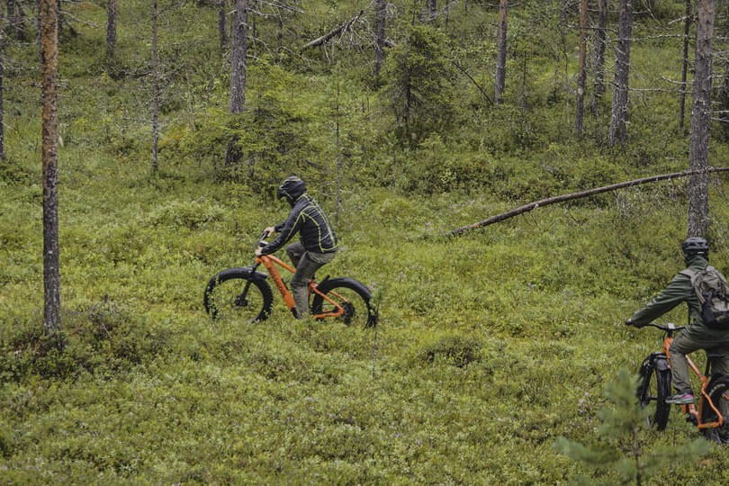 Bici elettrica Lapponia